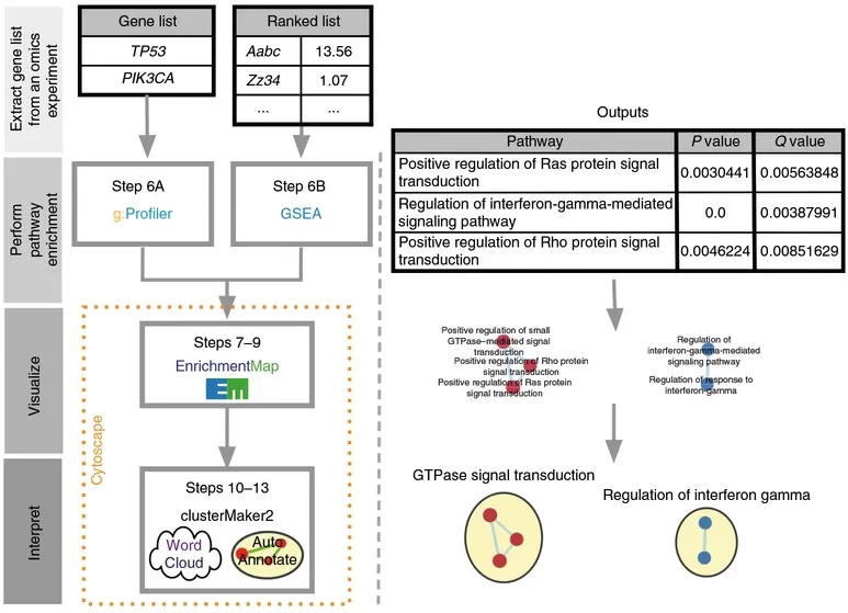 Pathway enrichment analysis workflow using ORA gProfiler and GSEA methods
